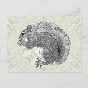 Art Squirrel Postcard