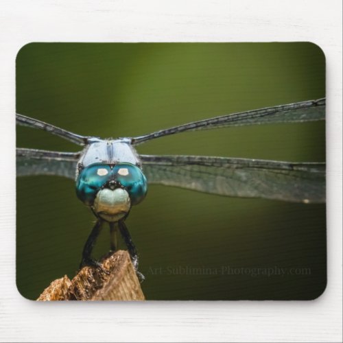 Art Sublimina Photography _ Dragonfly Mouse Pad