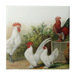 Art Tile