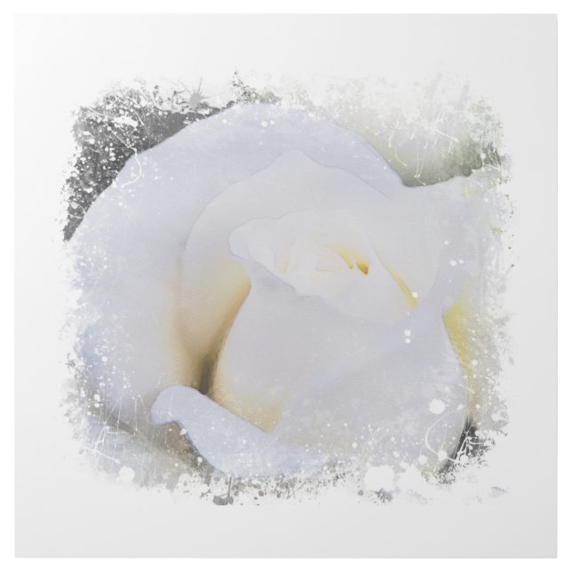 *~* Art White Macro Rose Floral AR8 Gallery Wrap (Front)