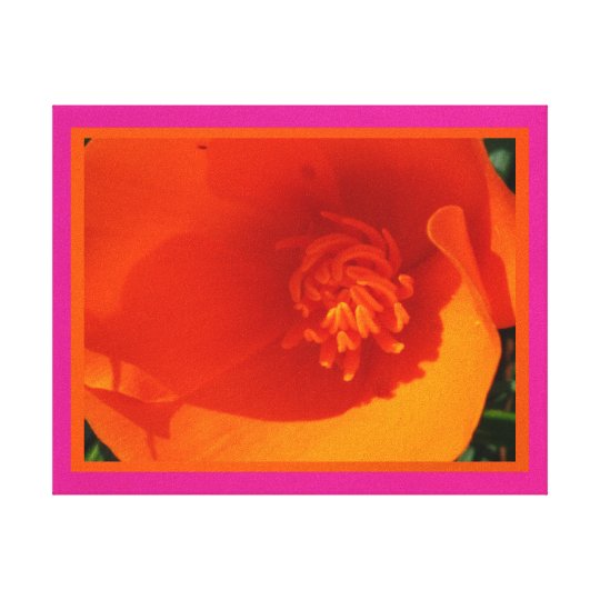 Arte en lienzo Lámina - Amapola de California Canvas Print