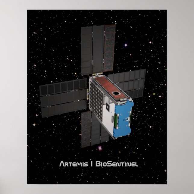 Artemis BioSentinel CubeSat Poster (Front)