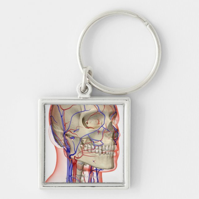 Arteries and veins in the head and neck keychain (Front)