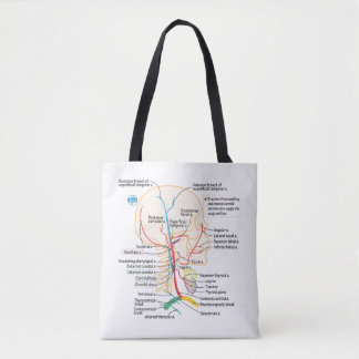 Arteries of the Head & Neck Tote