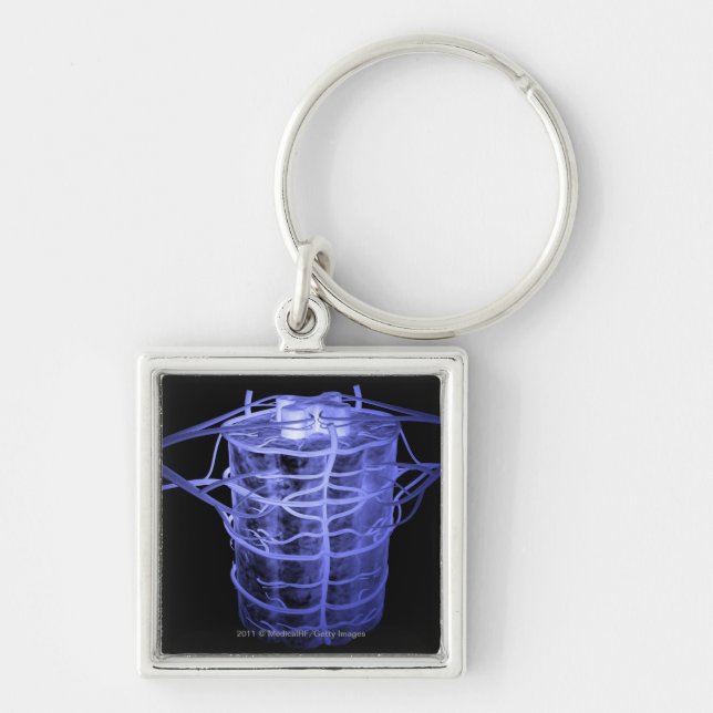 Arteries surrounding part of the spinal column keychain (Front)