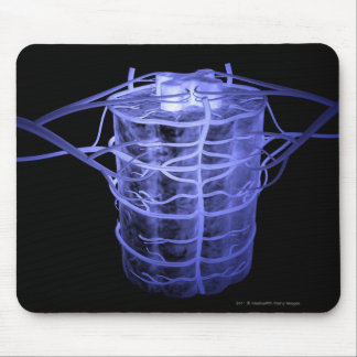 Arteries surrounding part of the spinal column mouse pad
