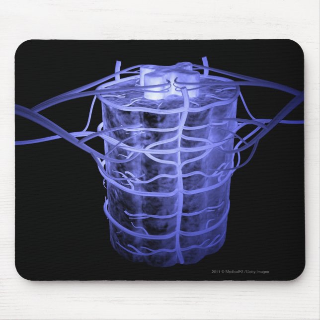 Arteries surrounding part of the spinal column mouse pad (Front)