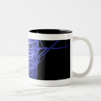 Arteries surrounding part of the spinal column Two-Tone coffee mug