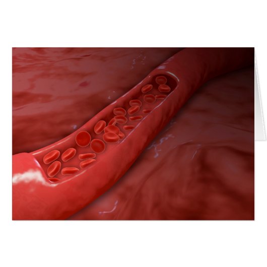 Artery Cross Section With Red Blood Cell Flow Cards (Front Horizontal)