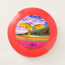 Artful Parrot /Promotional Gifts Wham-O Frisbee