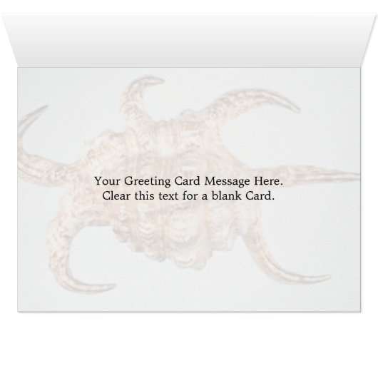 Arthritic spider, conch (Inside Horizontal (Bottom))