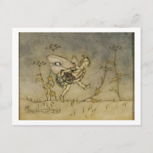 Arthur Rackham Fairy, illustration from 'A Midsu Postcard