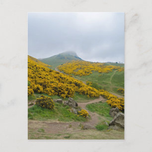 Arthur's Seat Edinburgh, Scotland Postcard