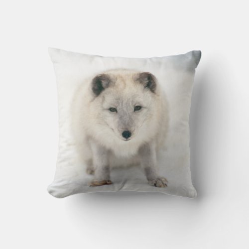 Artic Fox Throw Pillow