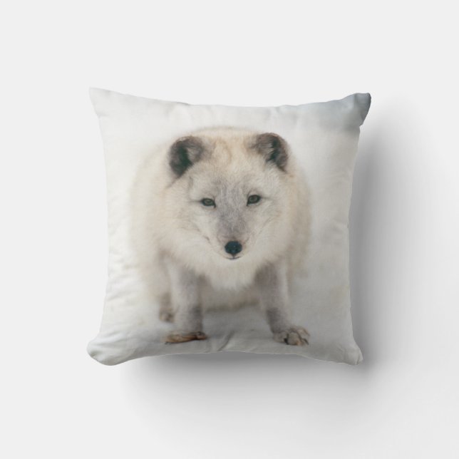 Artic Fox Throw Pillow (Front)