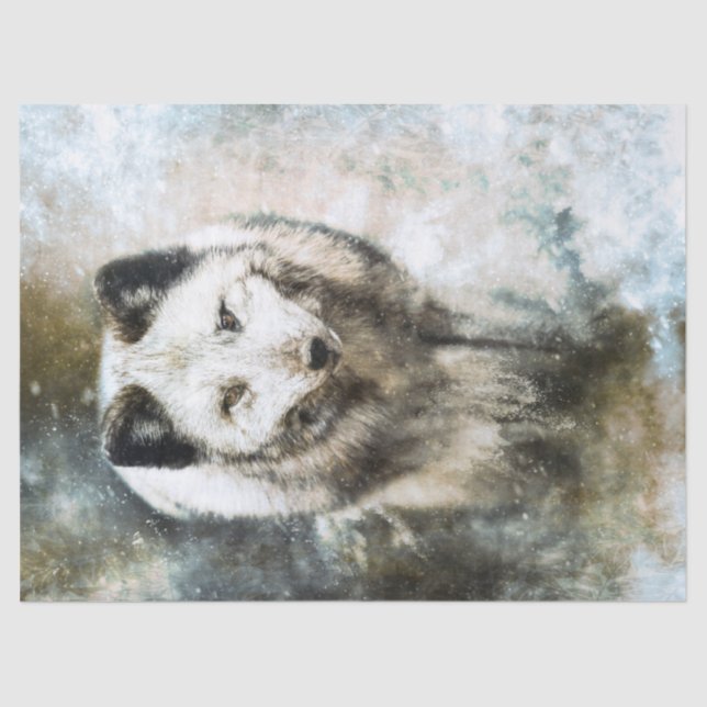 Artic Fox Wildlife Watercolor Tissue Paper (Front)