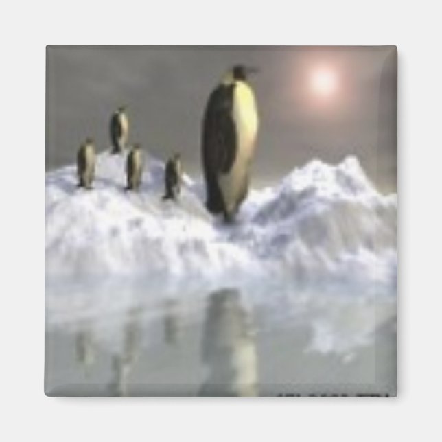 Artic Sun Magnet (Front)