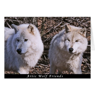 Artic Wolf Buddies Cards