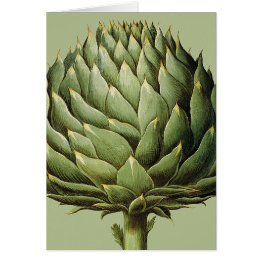 Artichoke, 1613 cards (Front)