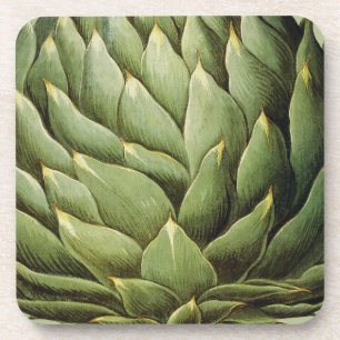 Artichoke, 1613 coaster