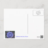 Artichoke Bloom Postcard (Back)