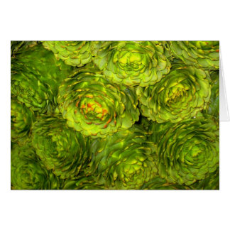 Artichoke Boutique Cards