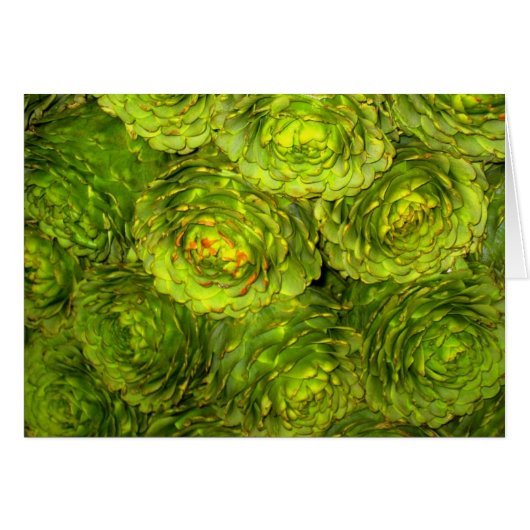 Artichoke Boutique Cards (Front Horizontal)