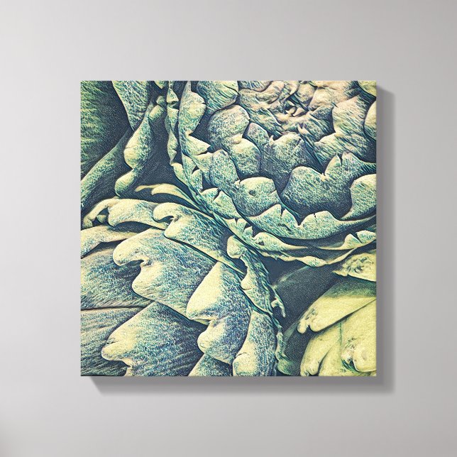Artichoke  canvas print (Front)