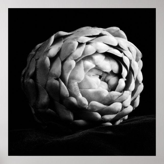 Artichoke Close Up Black and White Photography Poster (Front)
