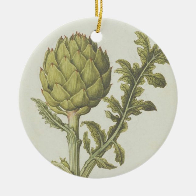 Artichoke: Cynara scolymus, c.1568 Ceramic Ornament (Front)