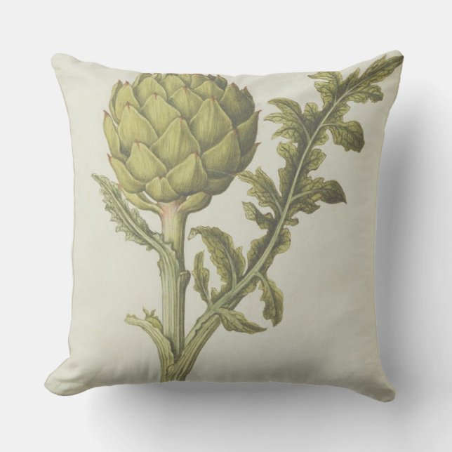 Artichoke: Cynara scolymus, c.1568 Throw Pillow (Front)