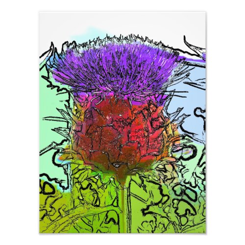 ARTICHOKE FLOWER PHOTO PRINT