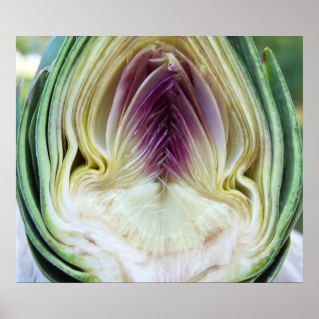 Artichoke Heart Canvas Print (Front)