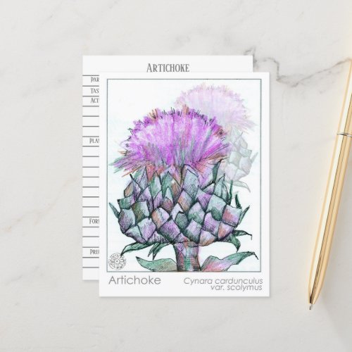 Artichoke Materia Medica Cards Herbal Study Plants