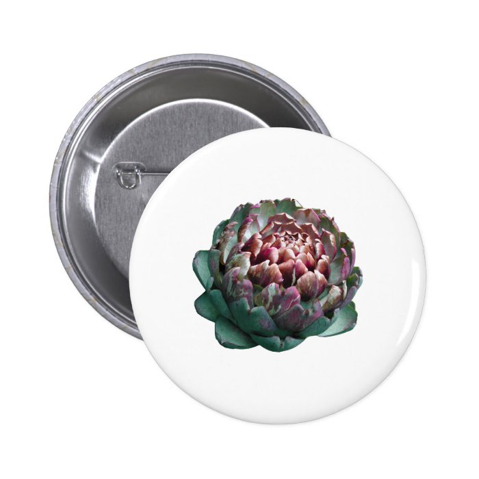 Artichoke on white. pin