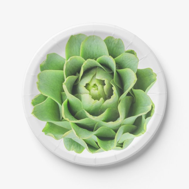 Artichoke Paper Plates (Front)