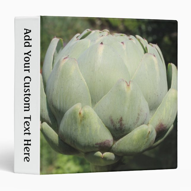 Artichoke Plant. Binder (Front/Spine)