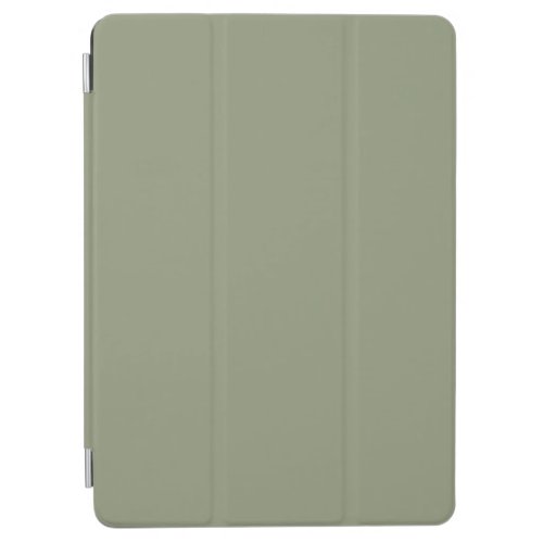 Artichoke solid color iPad air cover