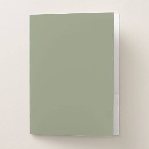 Artichoke solid color pocket folder