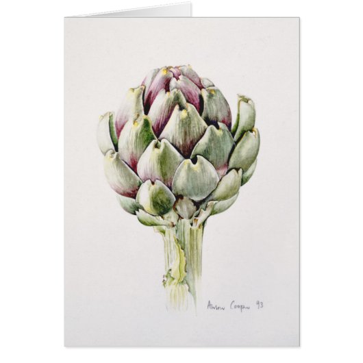 Artichoke Study 1993 Cards (Front)