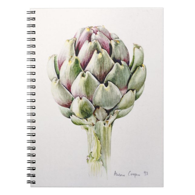 Artichoke Study 1993 Notebook (Front)