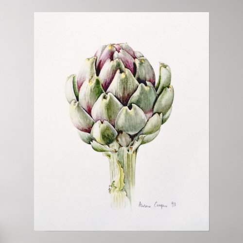 Artichoke Study 1993 Poster