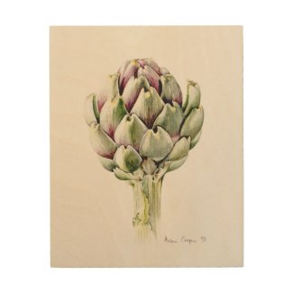 Artichoke Study 1993