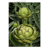 Artichokes (Front)