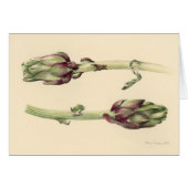 Artichokes 2005 (Front Horizontal)