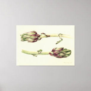 Artichokes 2005 canvas print