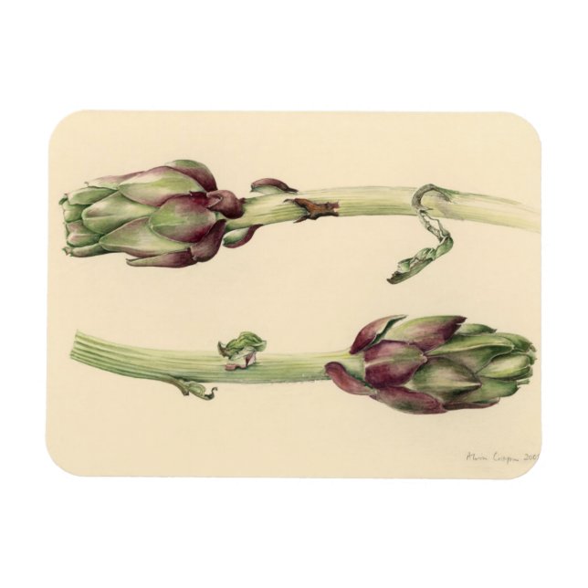 Artichokes 2005 magnet (Horizontal)