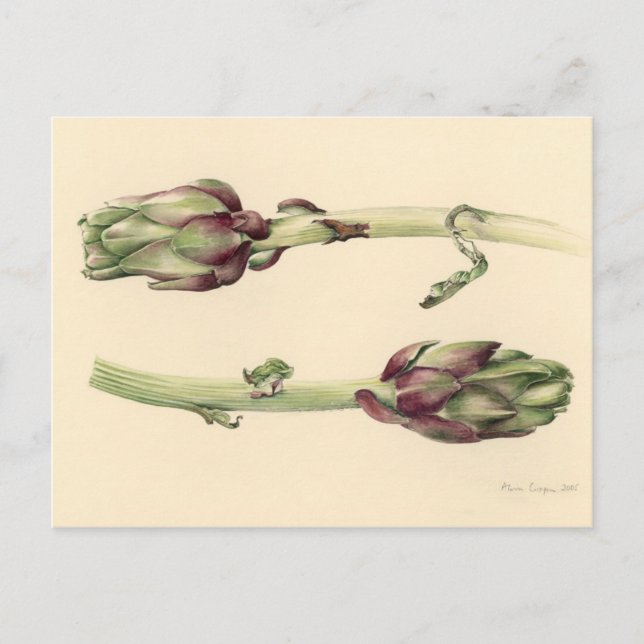 Artichokes 2005 postcard (Front)