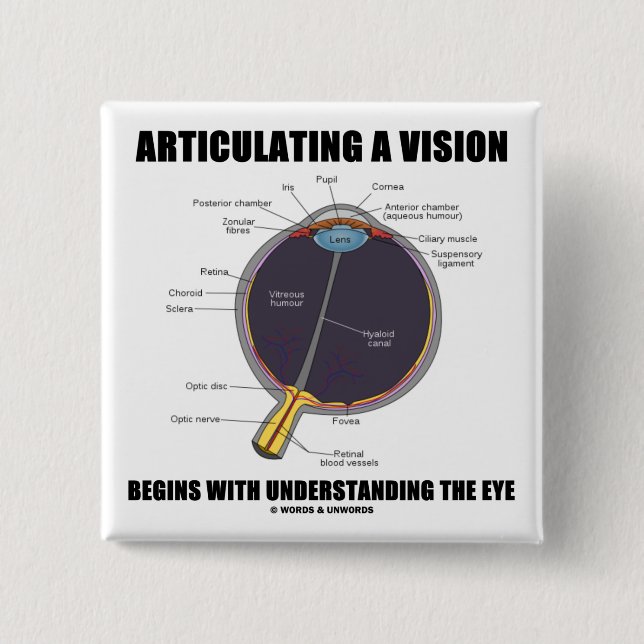 Articulating A Vision Begins Understanding Eye Pinback Button (Front)