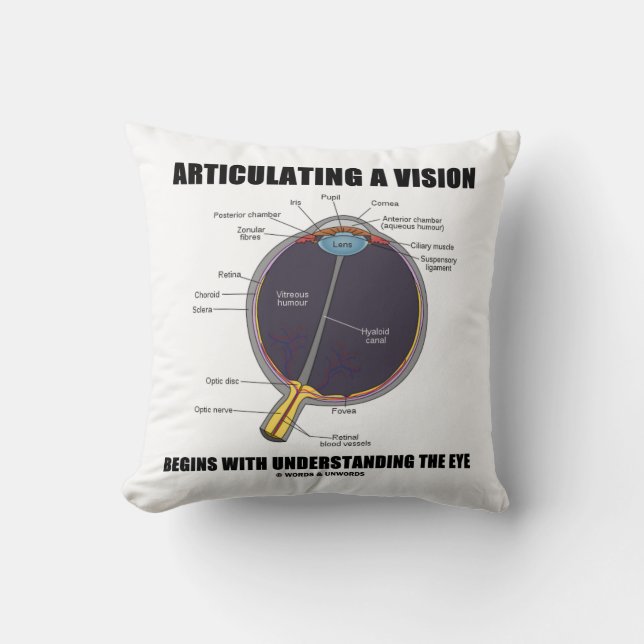 Articulating A Vision Begins Understanding The Eye Throw Pillow (Front)